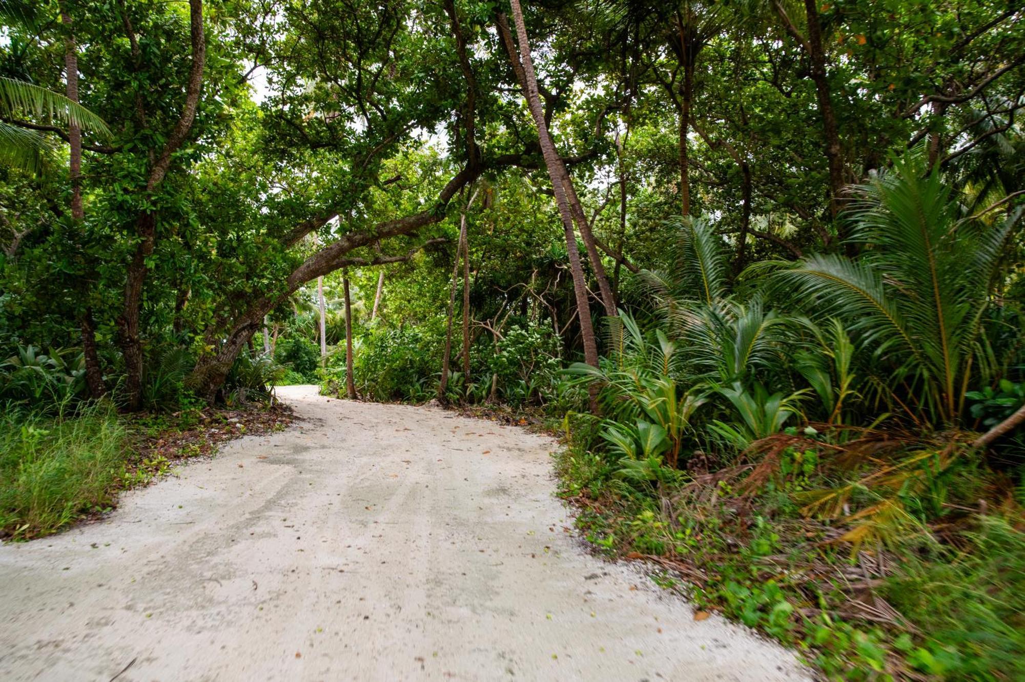 Biosphere Inn Dharavandhoo Exterior foto